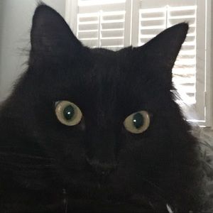 Meet your Posher, Cameron